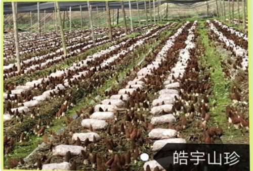 &#40857;&#56;&#45;&#108;&#111;&#110;&#103;&#56;&#40;&#20013;&#22269;&#41;&#21807;&#19968;&#23448;&#26041;&#32593;&#31449;&#45;&#31185;&#25216;&#39046;&#33322;&#31449;