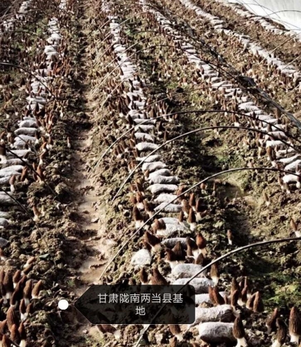&#40857;&#56;&#45;&#108;&#111;&#110;&#103;&#56;&#40;&#20013;&#22269;&#41;&#21807;&#19968;&#23448;&#26041;&#32593;&#31449;&#45;&#31185;&#25216;&#39046;&#33322;&#31449;