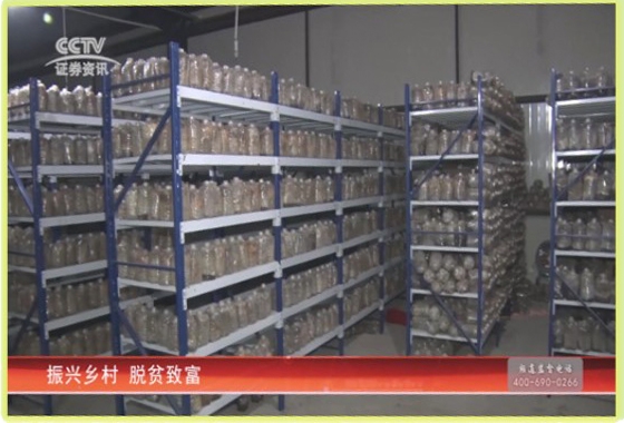 &#40857;&#56;&#45;&#108;&#111;&#110;&#103;&#56;&#40;&#20013;&#22269;&#41;&#21807;&#19968;&#23448;&#26041;&#32593;&#31449;&#45;&#31185;&#25216;&#39046;&#33322;&#31449;