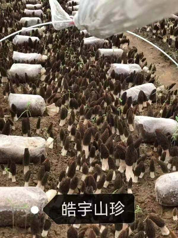 &#40857;&#56;&#45;&#108;&#111;&#110;&#103;&#56;&#40;&#20013;&#22269;&#41;&#21807;&#19968;&#23448;&#26041;&#32593;&#31449;&#45;&#31185;&#25216;&#39046;&#33322;&#31449;