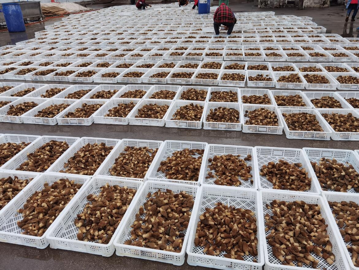 &#40857;&#56;&#45;&#108;&#111;&#110;&#103;&#56;&#40;&#20013;&#22269;&#41;&#21807;&#19968;&#23448;&#26041;&#32593;&#31449;&#45;&#31185;&#25216;&#39046;&#33322;&#31449;