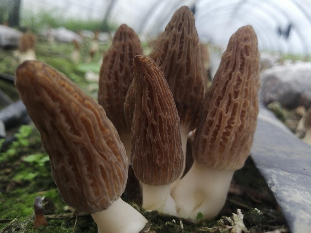 &#40857;&#56;&#45;&#108;&#111;&#110;&#103;&#56;&#40;&#20013;&#22269;&#41;&#21807;&#19968;&#23448;&#26041;&#32593;&#31449;&#45;&#31185;&#25216;&#39046;&#33322;&#31449;