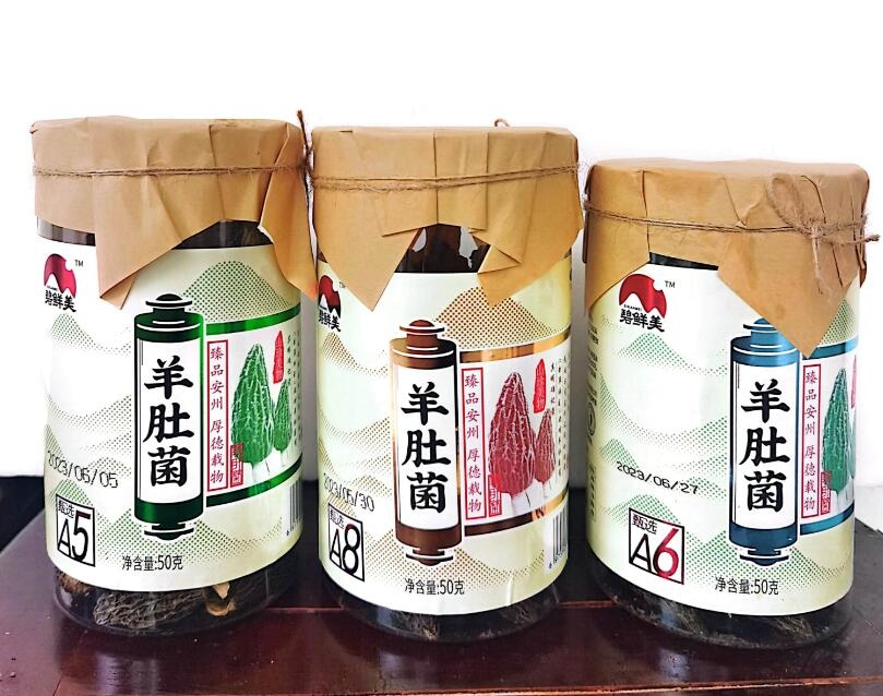 &#40857;&#56;&#45;&#108;&#111;&#110;&#103;&#56;&#40;&#20013;&#22269;&#41;&#21807;&#19968;&#23448;&#26041;&#32593;&#31449;&#45;&#31185;&#25216;&#39046;&#33322;&#31449;