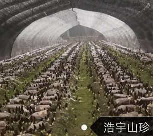 &#40857;&#56;&#45;&#108;&#111;&#110;&#103;&#56;&#40;&#20013;&#22269;&#41;&#21807;&#19968;&#23448;&#26041;&#32593;&#31449;&#45;&#31185;&#25216;&#39046;&#33322;&#31449;