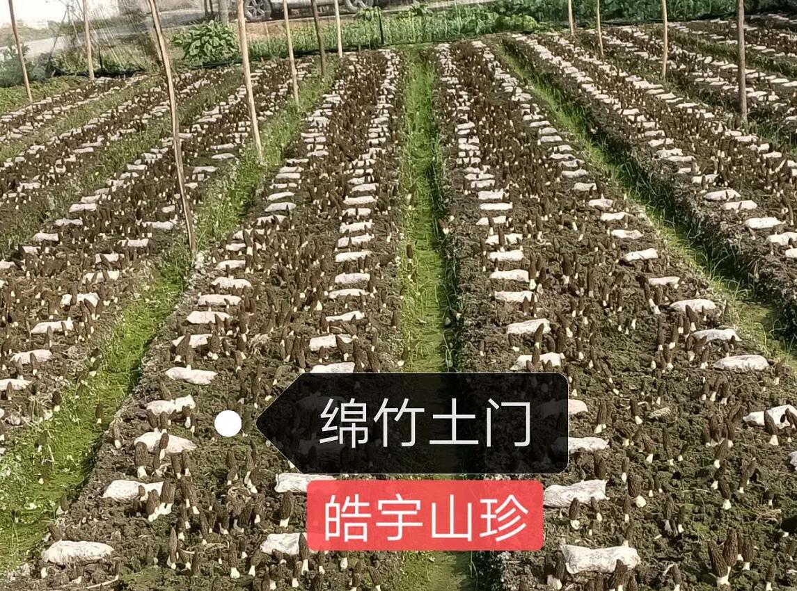 &#40857;&#56;&#45;&#108;&#111;&#110;&#103;&#56;&#40;&#20013;&#22269;&#41;&#21807;&#19968;&#23448;&#26041;&#32593;&#31449;&#45;&#31185;&#25216;&#39046;&#33322;&#31449;