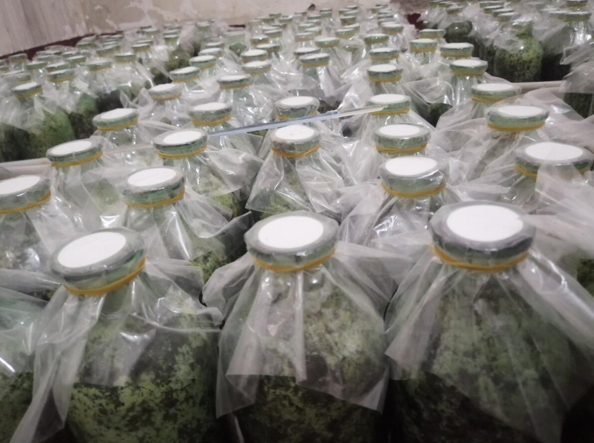 &#40857;&#56;&#45;&#108;&#111;&#110;&#103;&#56;&#40;&#20013;&#22269;&#41;&#21807;&#19968;&#23448;&#26041;&#32593;&#31449;&#45;&#31185;&#25216;&#39046;&#33322;&#31449;